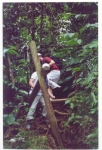 Saut de la lezarde 5.jpg